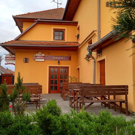 Penzion Bouquet Horní Vestonice Exterior foto