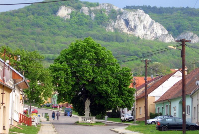 Penzion Bouquet Horní Vestonice Exterior foto