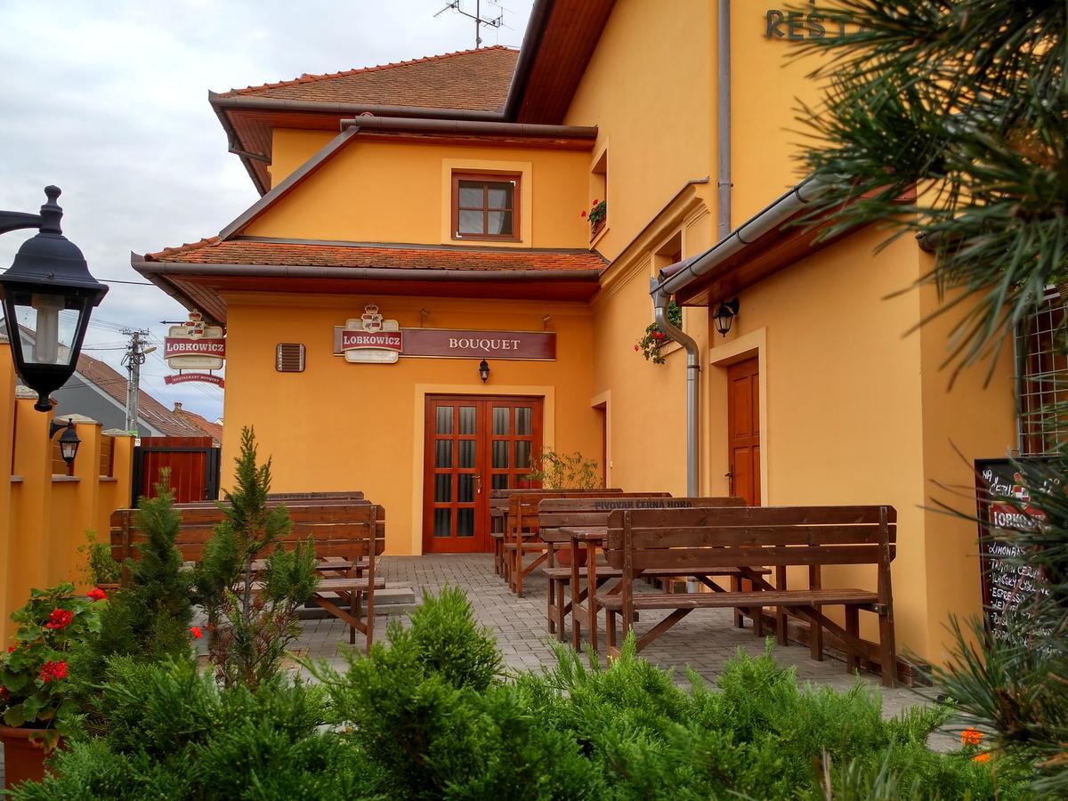 Penzion Bouquet Horní Vestonice Exterior foto
